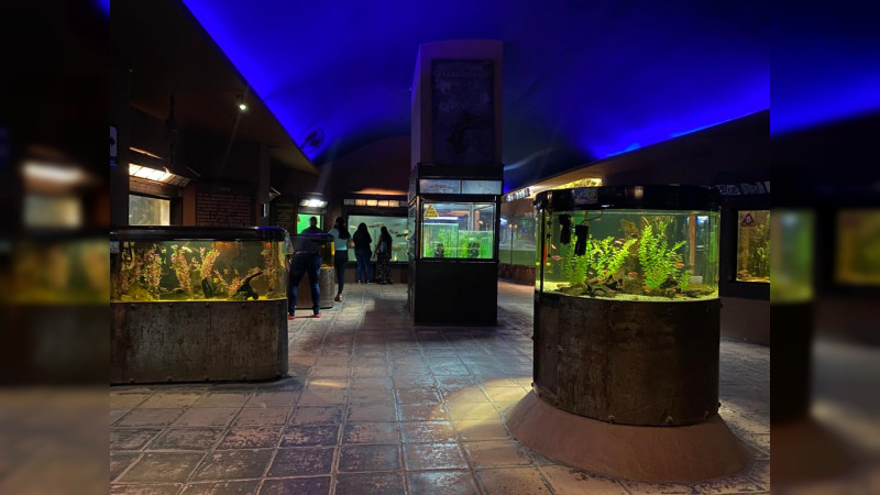Acuario del ZooMorelia celebra su 15 aniversario 