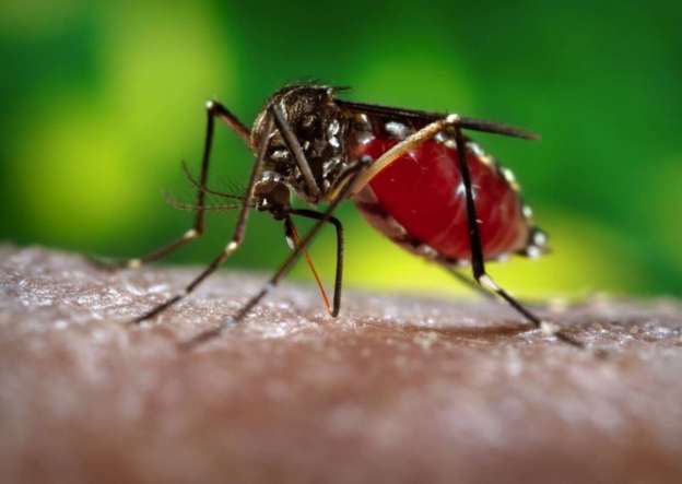 Posible infectado de chik o dengue de zona residencial niega labor a la SSM 