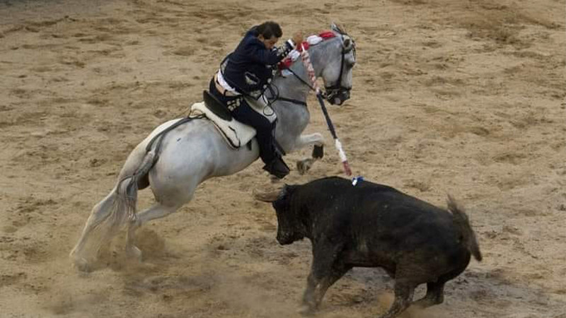 Tarik, Calita y Moso se darán hoy el quién vive en la tradicional corrida de la Monumental de Morelia