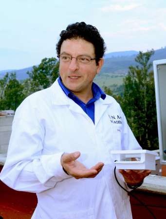 Colocan microsensores en abejas para estudiar su comportamiento y explicar su declive mundial - Foto 2 