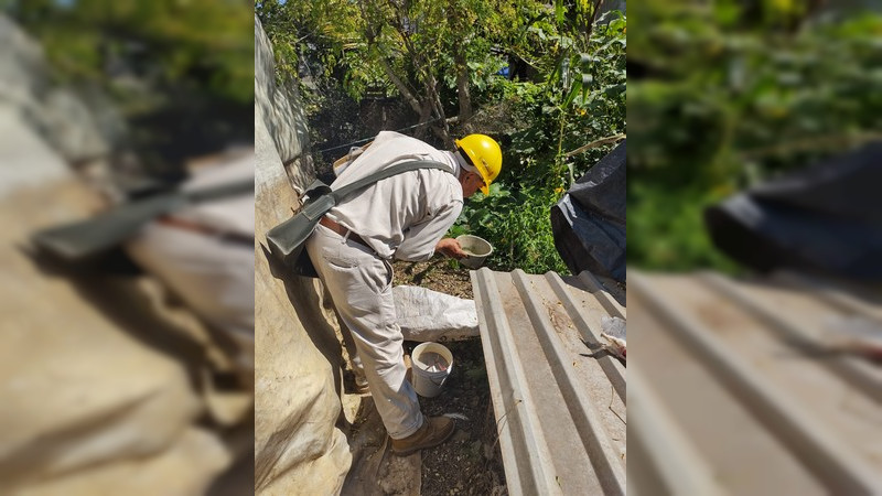Realiza SSM operativo contra el dengue en Juárez y San Lucas