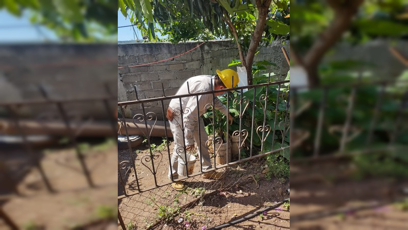 Realiza SSM operativo contra el dengue en Juárez y San Lucas