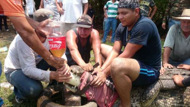 Continúa búsqueda de cocodrilo que se comió a menor en Lázaro Cárdenas, Michoacán - Foto 4 