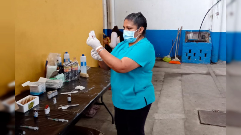 Anuncia SSM campaña de esterilización de mascotas en Cherán, Uruapan y Cuitzeo 