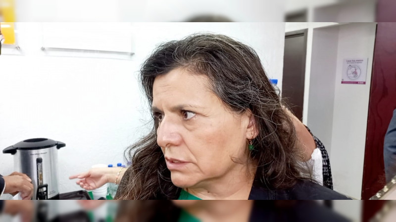 Querétaro Contará con un Quinto Distrito Electoral Federal: Ana Lilia Pérez 