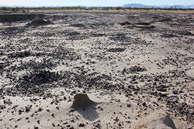 (Vídeo) Exploran casas de los primeros agricultores del desierto de Sonora - Foto 5 