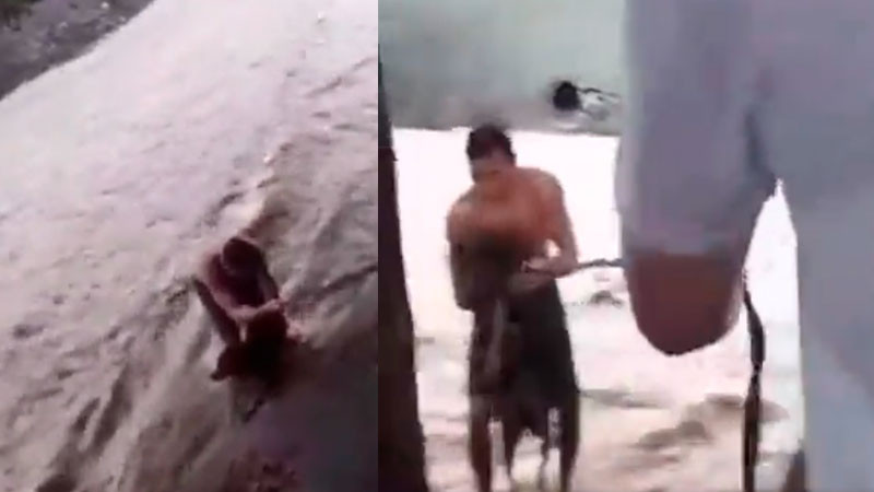 Excampeón mundial de boxeo rescata a perro en Nicaragua 