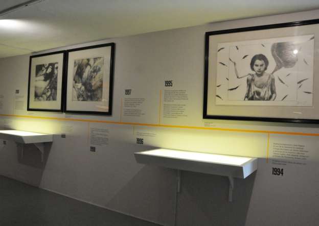 Exhibe el Museo de Arte Carrillo Gil obra inédita de la artista Carla Rippey - Foto 4 