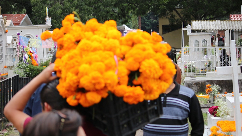 Esperan aumento de vendedores de flor de muerto en Morelia 