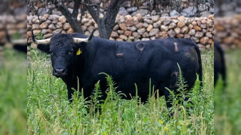 Isaac Fonseca enfrentará seis torazos de los que en México pocos se atreven a encarar