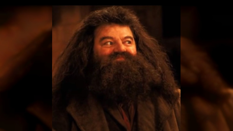 Muere el actor Robbie Coltrane quien interpretó  a “Hagrid” en la saga de Harry Potter 