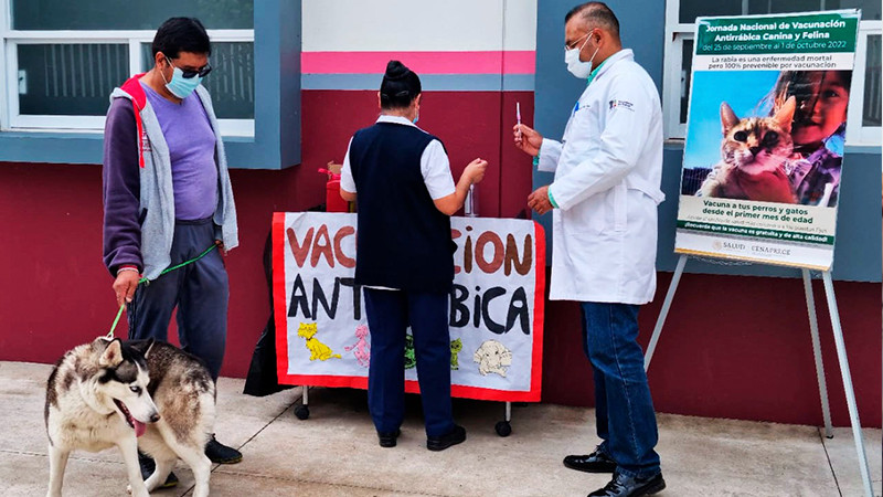 Inicia en el Municipio de Quiroga la Segunda Jornada Nacional de Vacunación Antirrábica Canina y Felina 