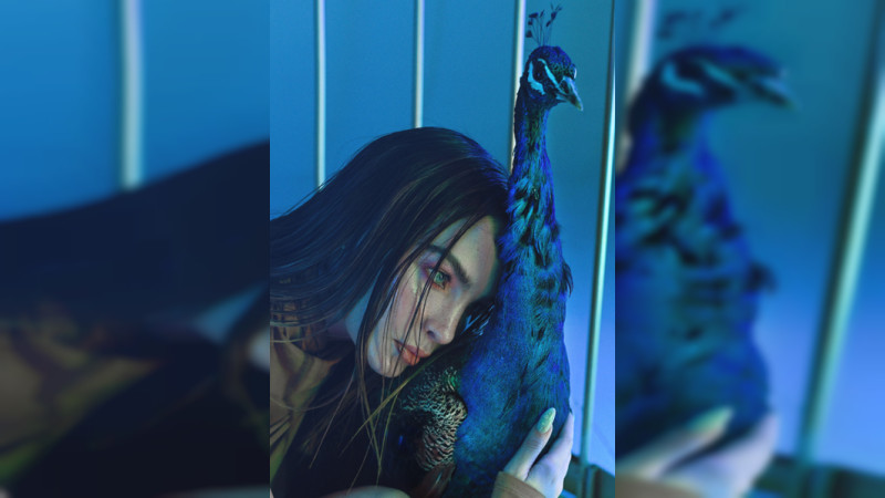 Decomisan ave en peligro de extinción en la casa de Belinda 