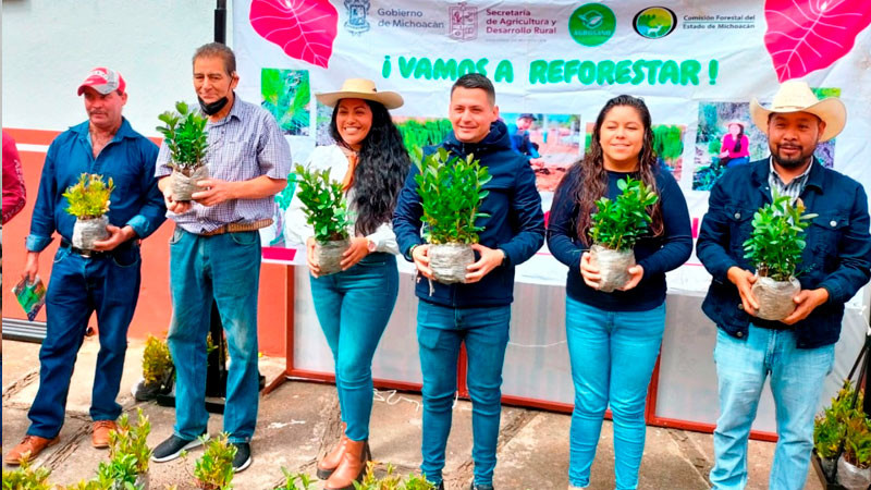 Ayuntamiento de Quiroga entrega 3 mil arbolitos de Guayabo a autoridades de comunidades y rancherías