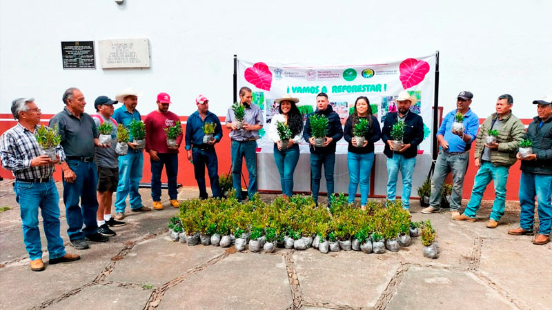 Ayuntamiento de Quiroga entrega 3 mil arbolitos de Guayabo a autoridades de comunidades y rancherías