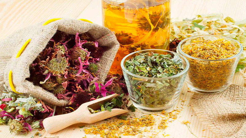 Museo del Estado ofrecerá charla sobre las Flores de México en la cocina tradicional