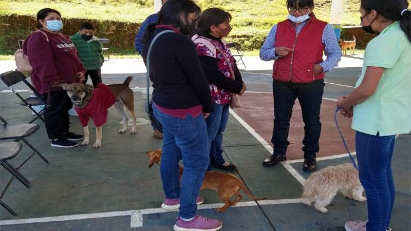 Anuncia Secretaría de Salud de Michoacán nueva jornada de esterilización canina y felina en Morelia 