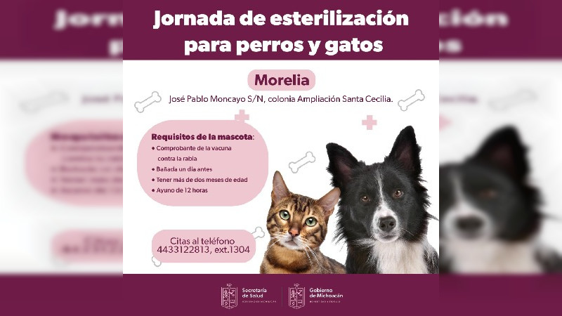 Anuncia Secretaría de Salud de Michoacán nueva jornada de esterilización canina y felina en Morelia 