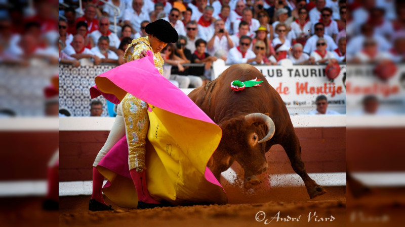Gana el "sí" a la tauromaquia en el congreso del estado de Michoacán 