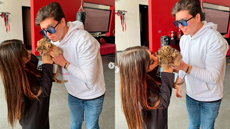 Fofo Márquez en polémica otra vez, ahora por regalar felino en peligro de extinción a su novia