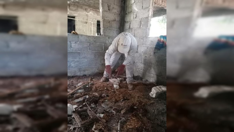 Más de un millón de acciones vectoriales ha realizado la Secretaría de Salud de Michoacán en lo que va del 2022