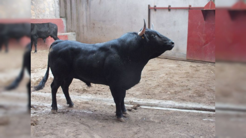 Isaac Fonseca acudió a ver los torazos de su encerrona