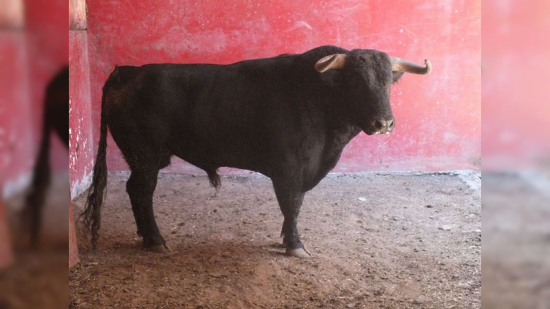 Isaac Fonseca acudió a ver los torazos de su encerrona