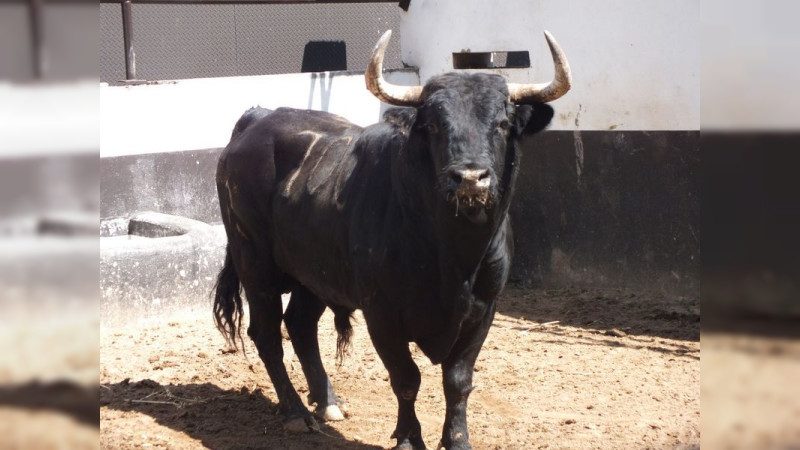 Isaac Fonseca acudió a ver los torazos de su encerrona