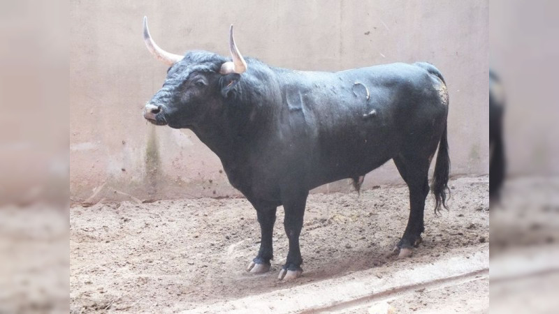 Isaac Fonseca acudió a ver los torazos de su encerrona