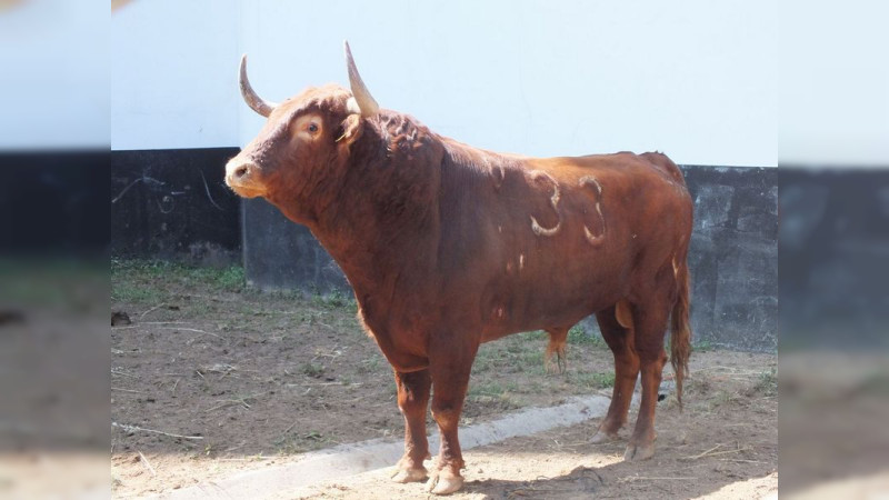 Isaac Fonseca acudió a ver los torazos de su encerrona