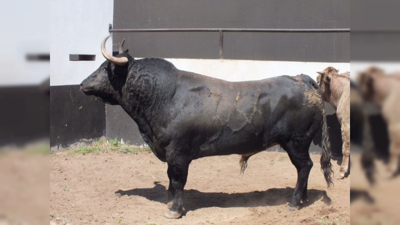 Isaac Fonseca acudió a ver los torazos de su encerrona