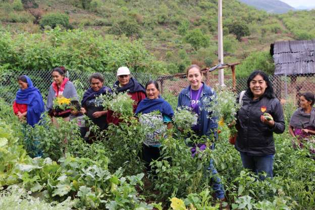 “Comunidad Diferente” beneficia a 138 familias 