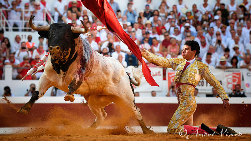 Isaac Fonseca intentará hoy una proeza ante 6 imponentes toros 