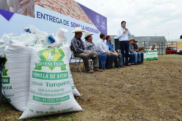 Entregan semilla mejorada en 17 municipios de Michoacán  