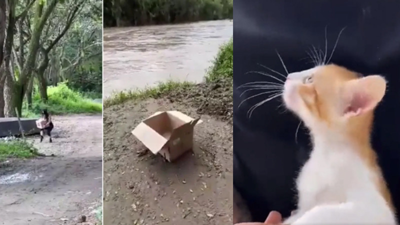 Crueldad animal: Mujer arroja gatitos a un río, y amenaza a quien la graba 