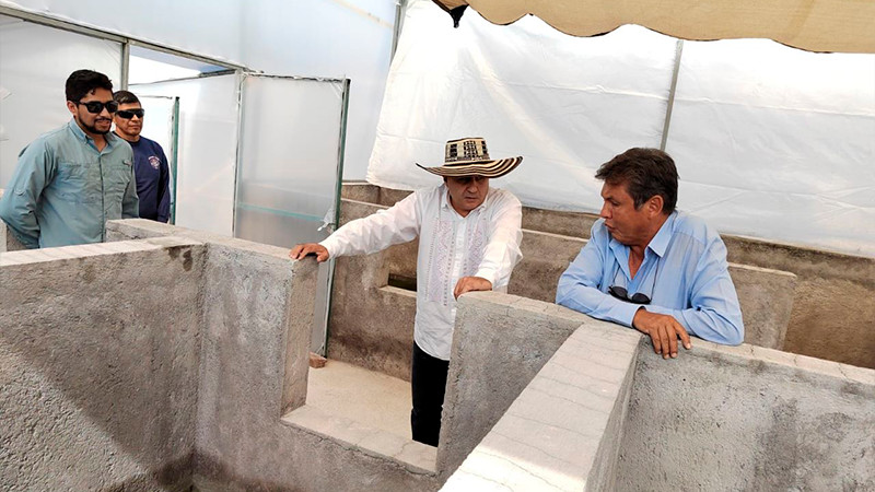Fortalece Compesca producción de rana toro en Michoacán 