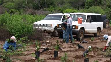 Abierto periodo de registro para la Maestría en Ecología Integrativa en el INIRENA de la UMSNH - Foto 4 