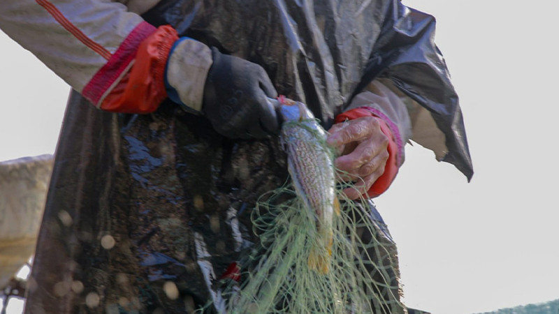 En sector primario, el mayor crecimiento de empleo registrado en octubre: Sedeco 