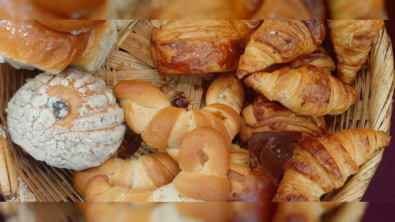 Festival, Queso, Pan y Vino, un gran atractivo para ciudadanos 