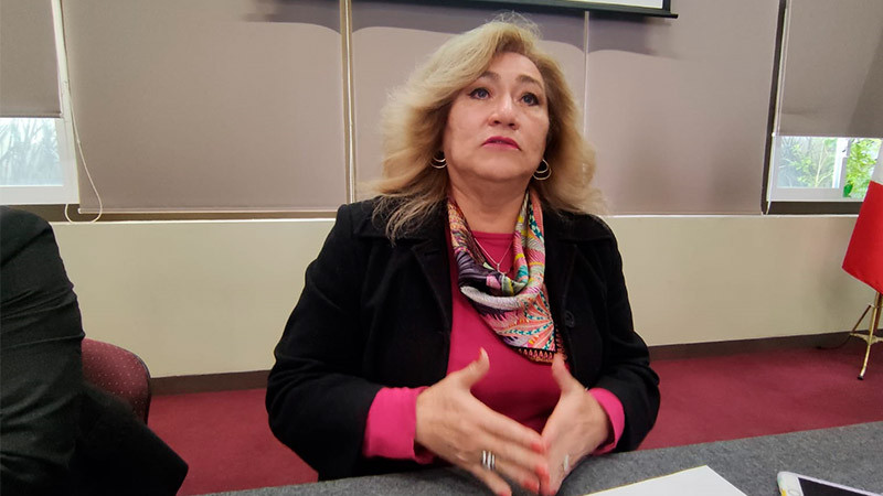 Sin fundamentos acusaciones contra titular de la CEDH: Irma Nora Valencia 
