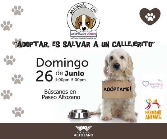 Feria de la adopción  “Adopta un callejerito” 