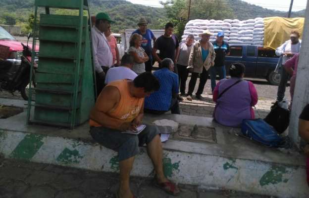 Entregan fertilizante grupos  organizados de Susupuato y Madero - Foto 0 