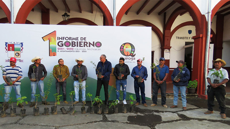Entregan 550 árboles frutales al Ayuntamiento de Quiroga 