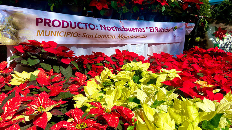 Este fin de semana, Séptimo Bazar de Árboles Navideños  