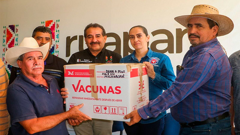 Entregan dos mil vacunas para prevenir la rabia paralítica bovina en Uruapan 