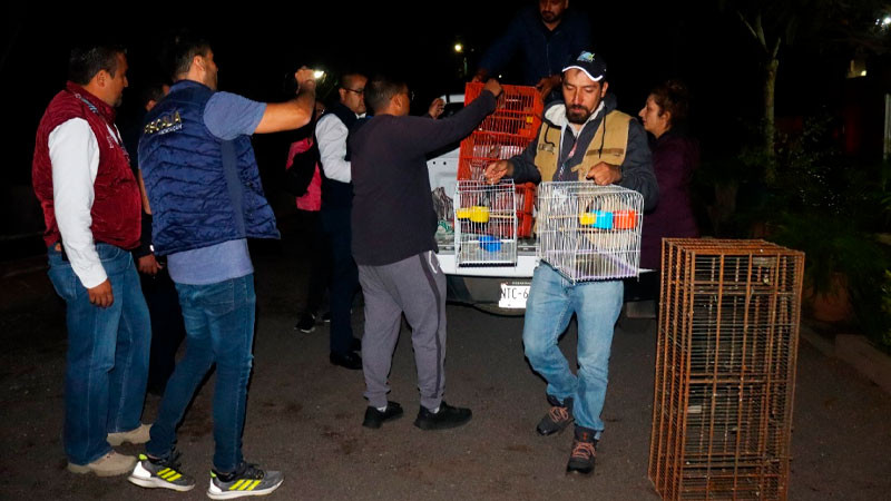 Recibe Zoológico de Morelia 48 ejemplares decomisados 