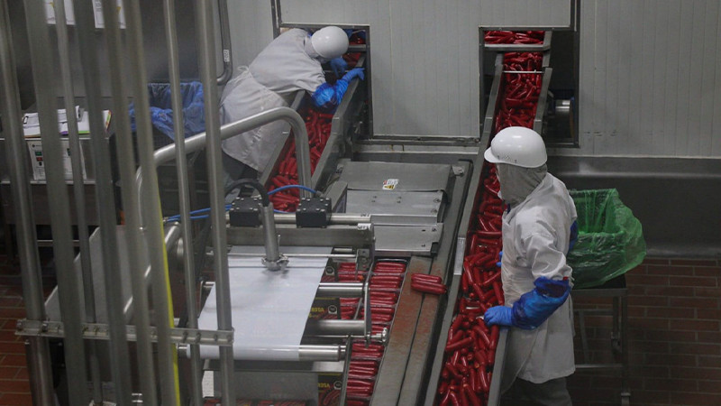 En Michoacán, sigue en aumento la generación de empleos formales  