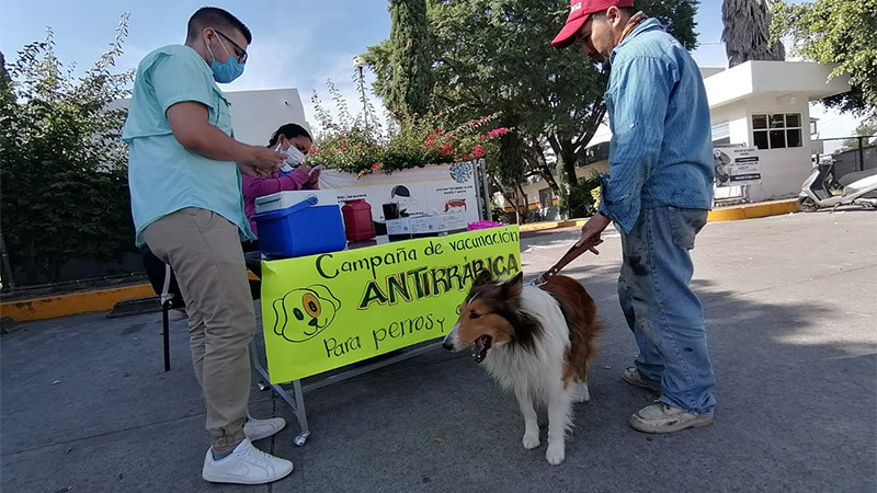 Centro de salud de Uruapan mantiene vacunación antirrábica 