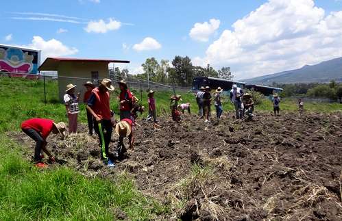 Fomentan actividades productivas en pequeños de Casa Hogar “Vivan los Niños” 