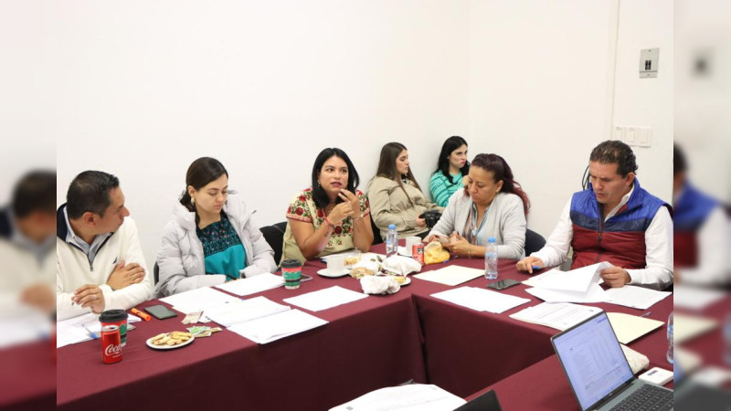 Con responsabilidad se concluirá, en tiempo y forma, revisión de Leyes de Ingresos Municipales: Eréndira Isauro 